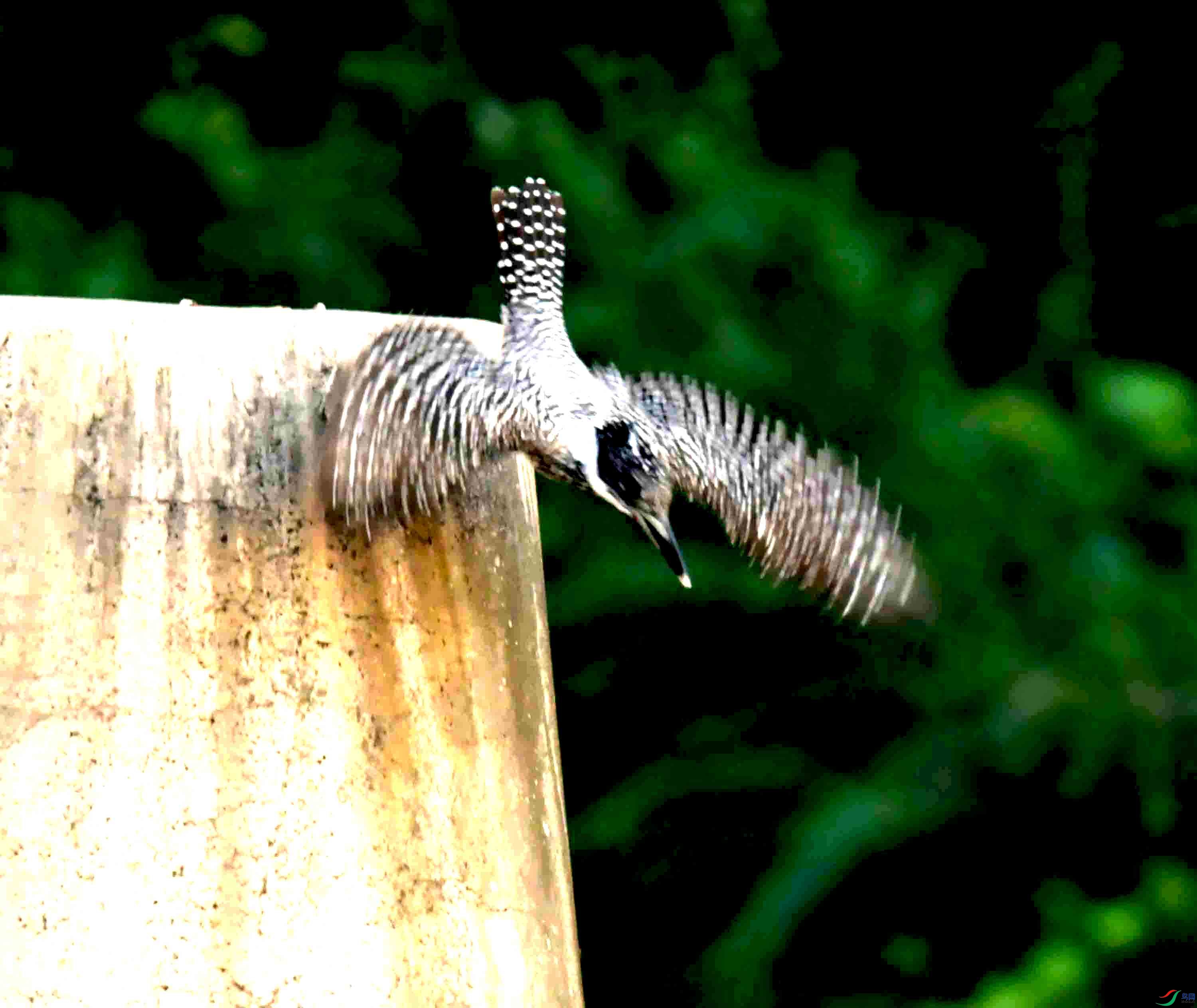 DSC_5443.JPG