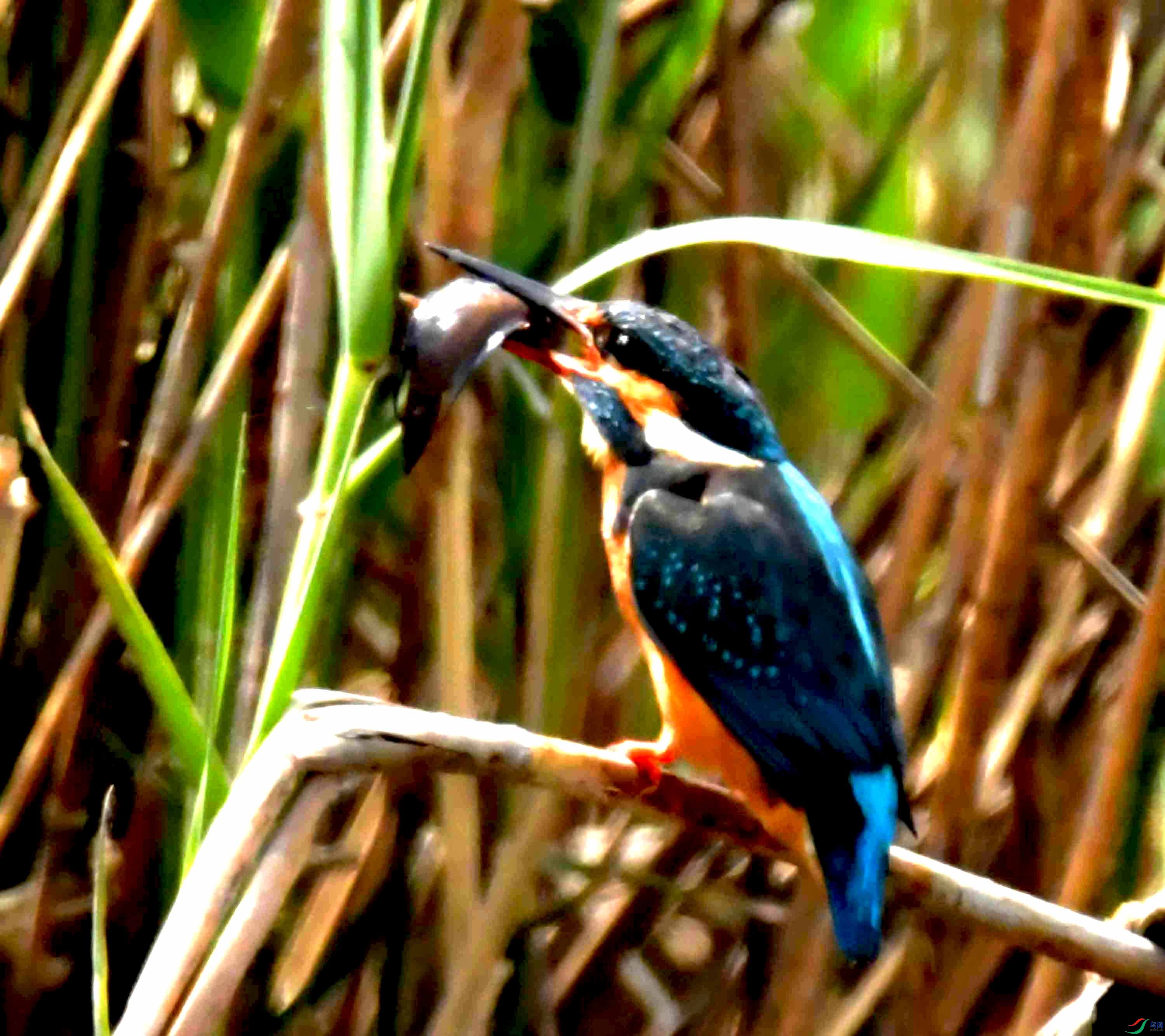 DSC_9361.JPG