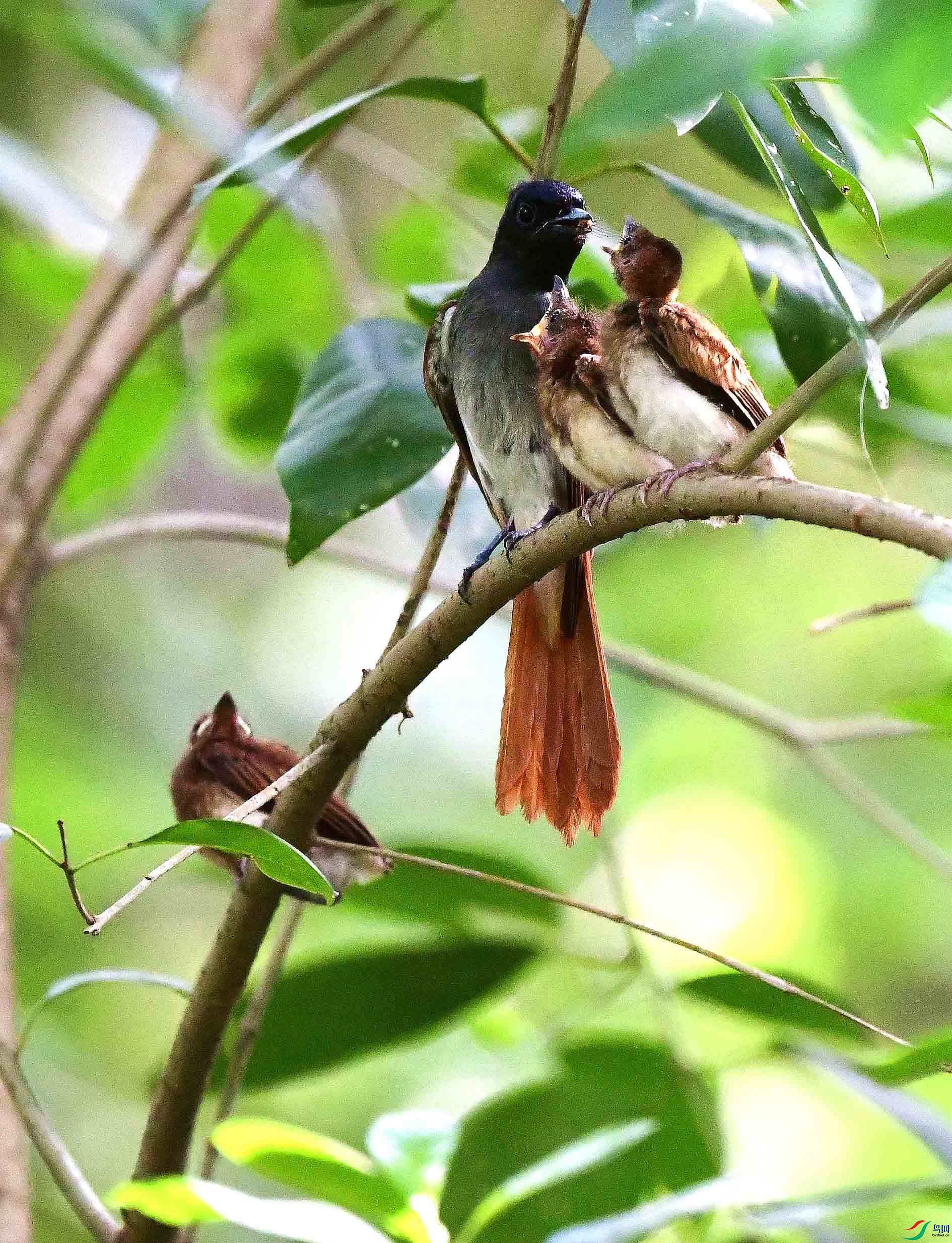 DSC_7506_����.jpg