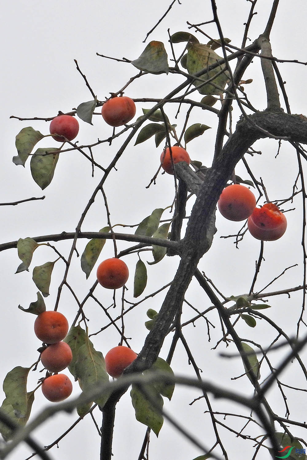 DSCN7127.jpg
