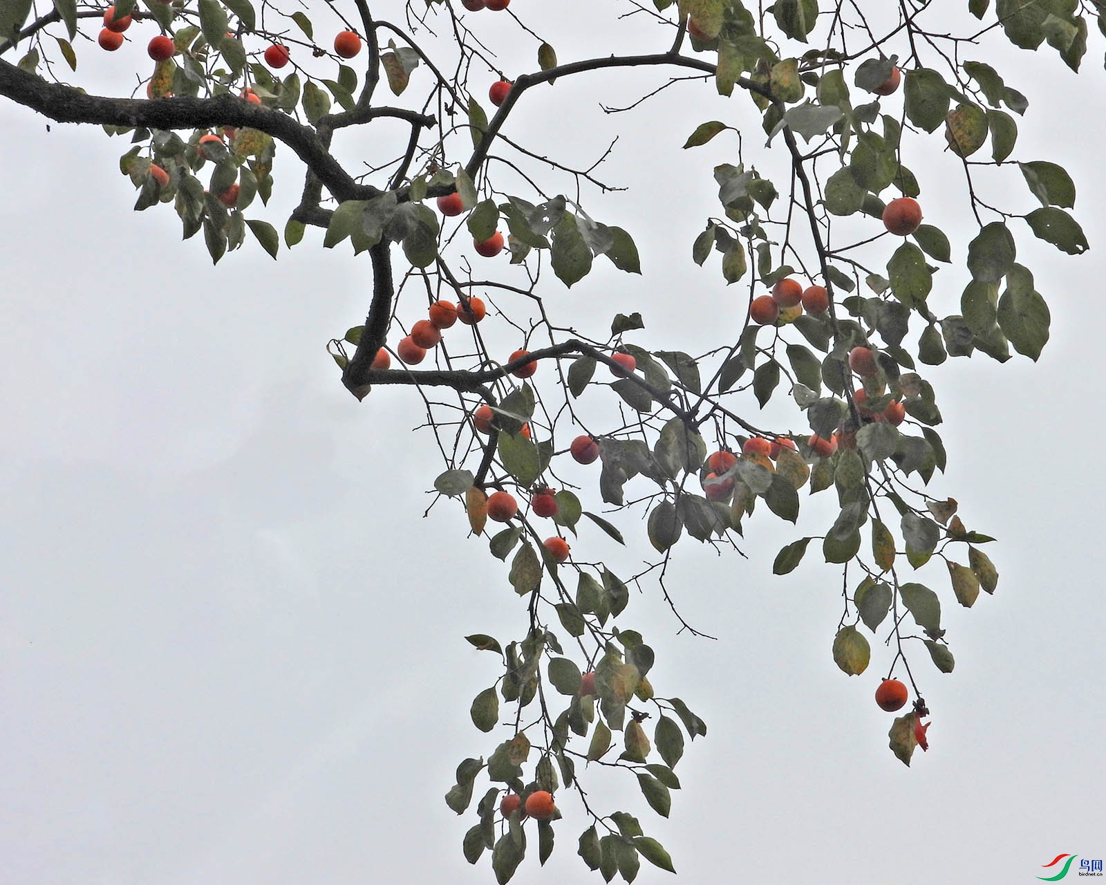 DSCN7119.jpg