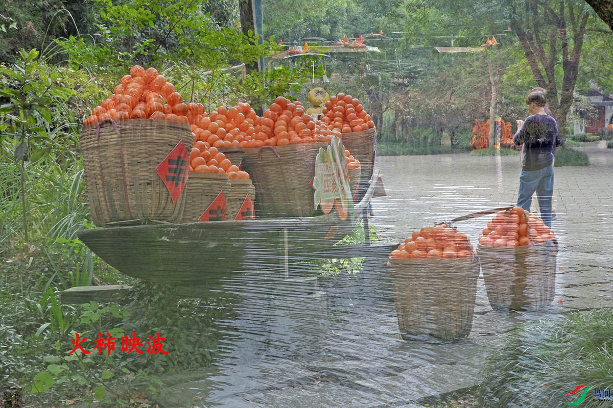 DSCN7131.jpg