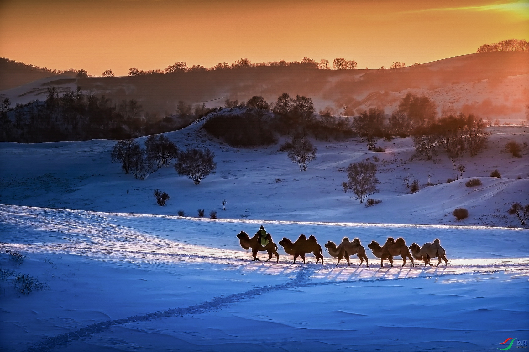 ���������ɹ�������ͳ��