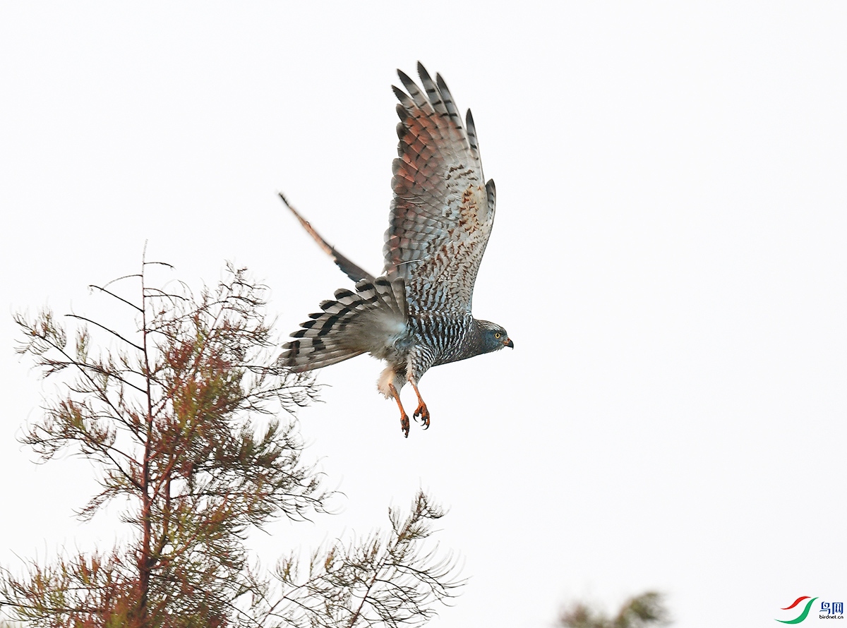 DSC_5673 - ����.JPG