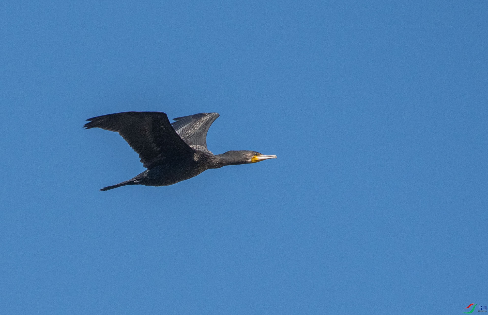 DSC_3177.jpg