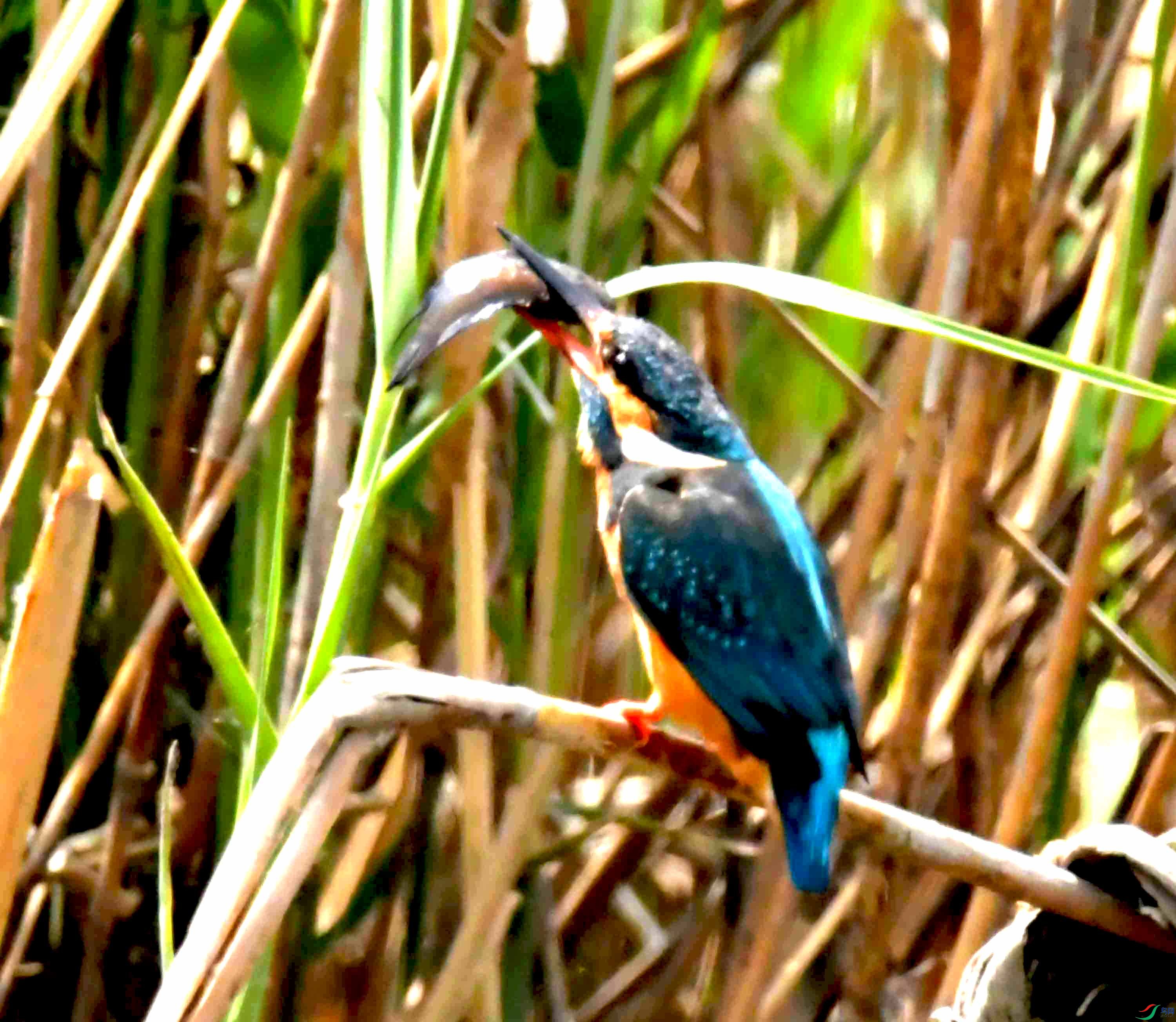 DSC_9363.JPG