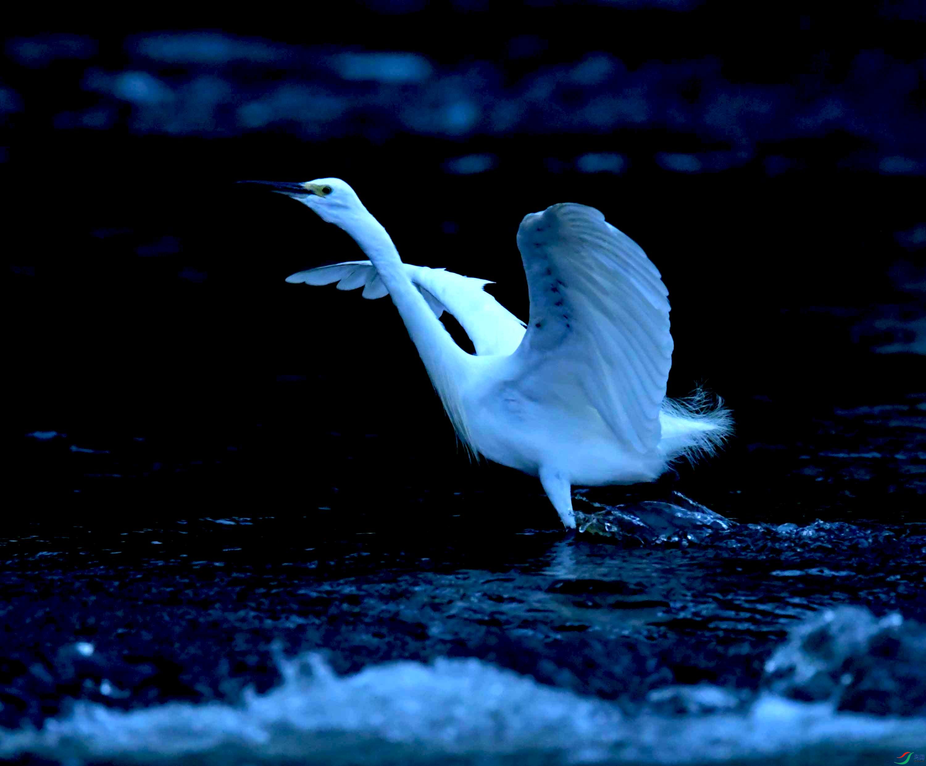 DSC_0418.JPG