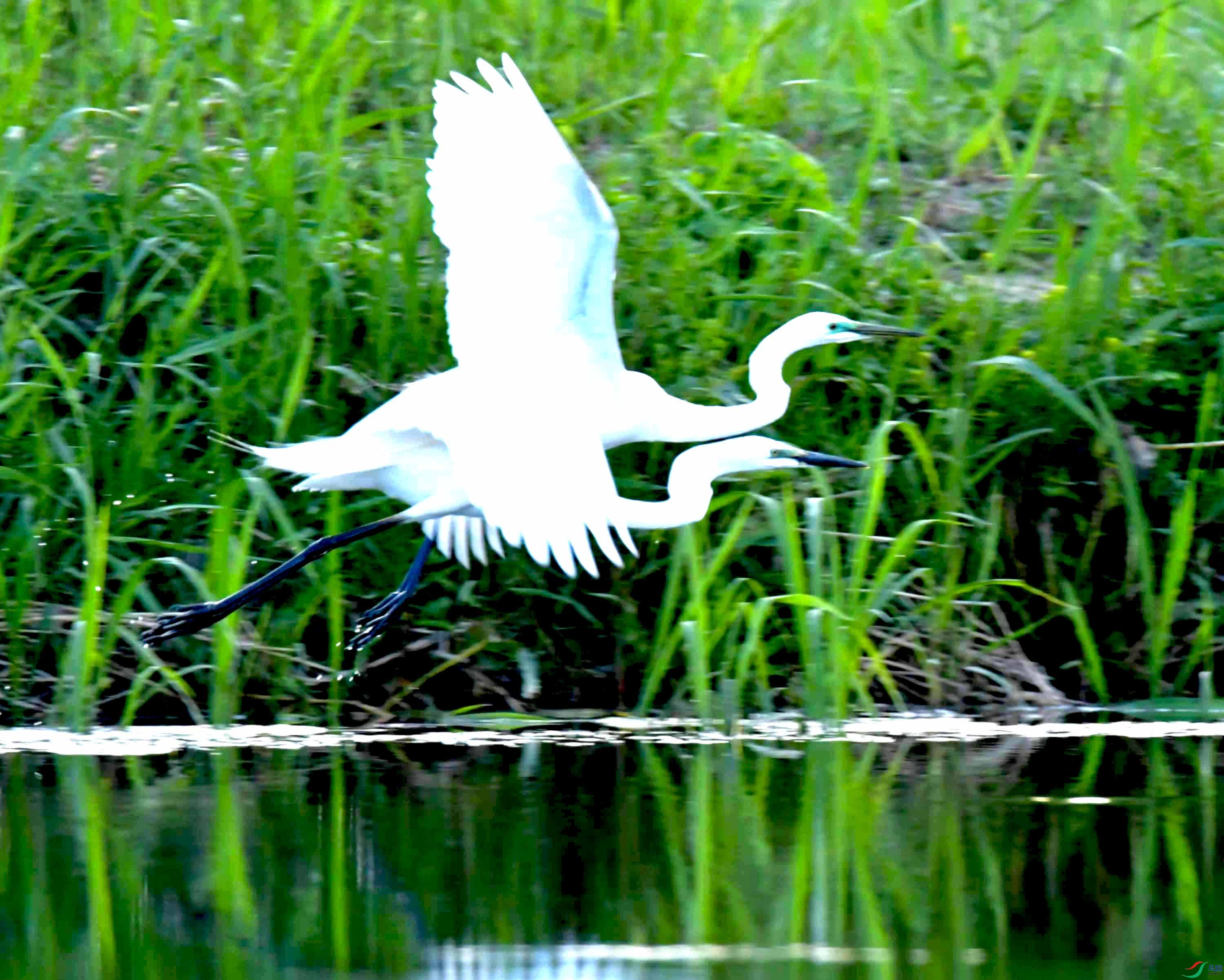 DSC_9636.JPG