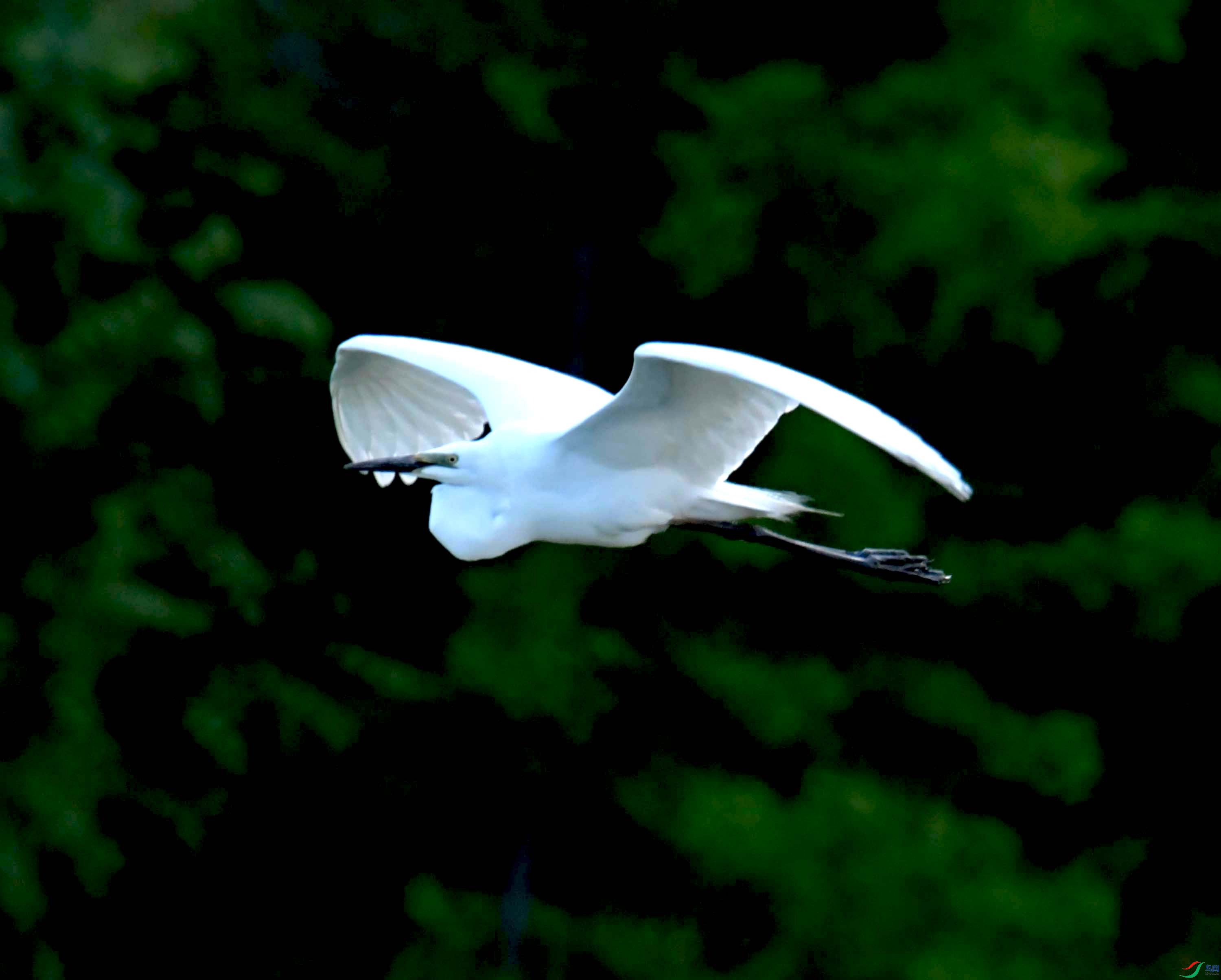 DSC_9652.JPG