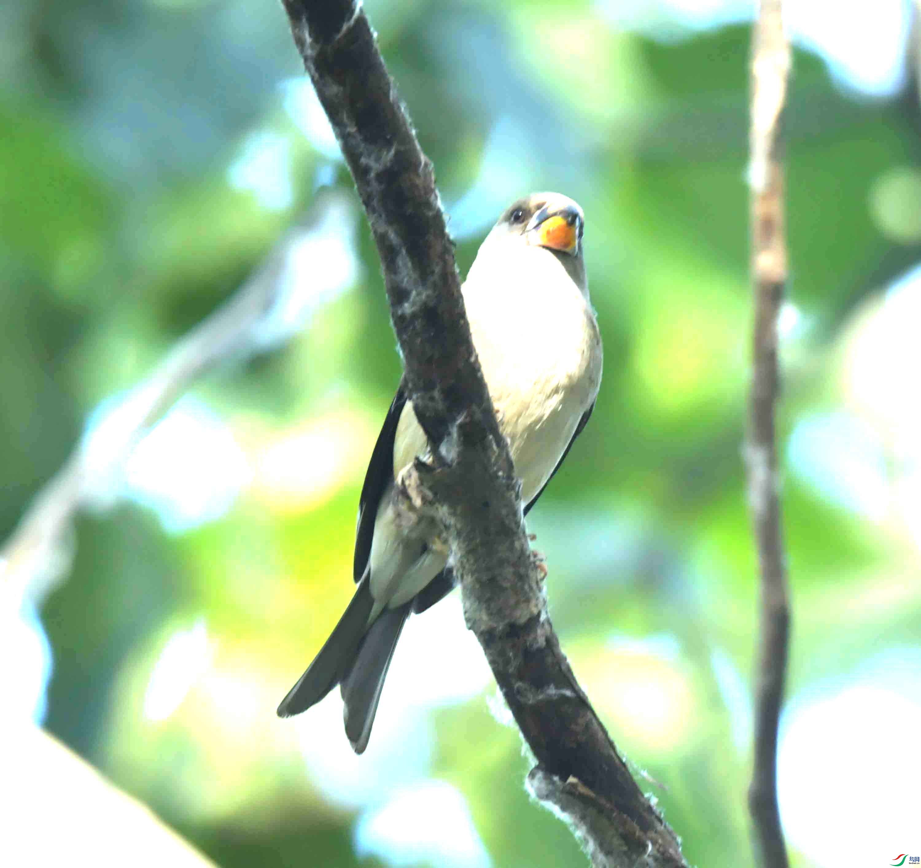 DSC_6612.JPG