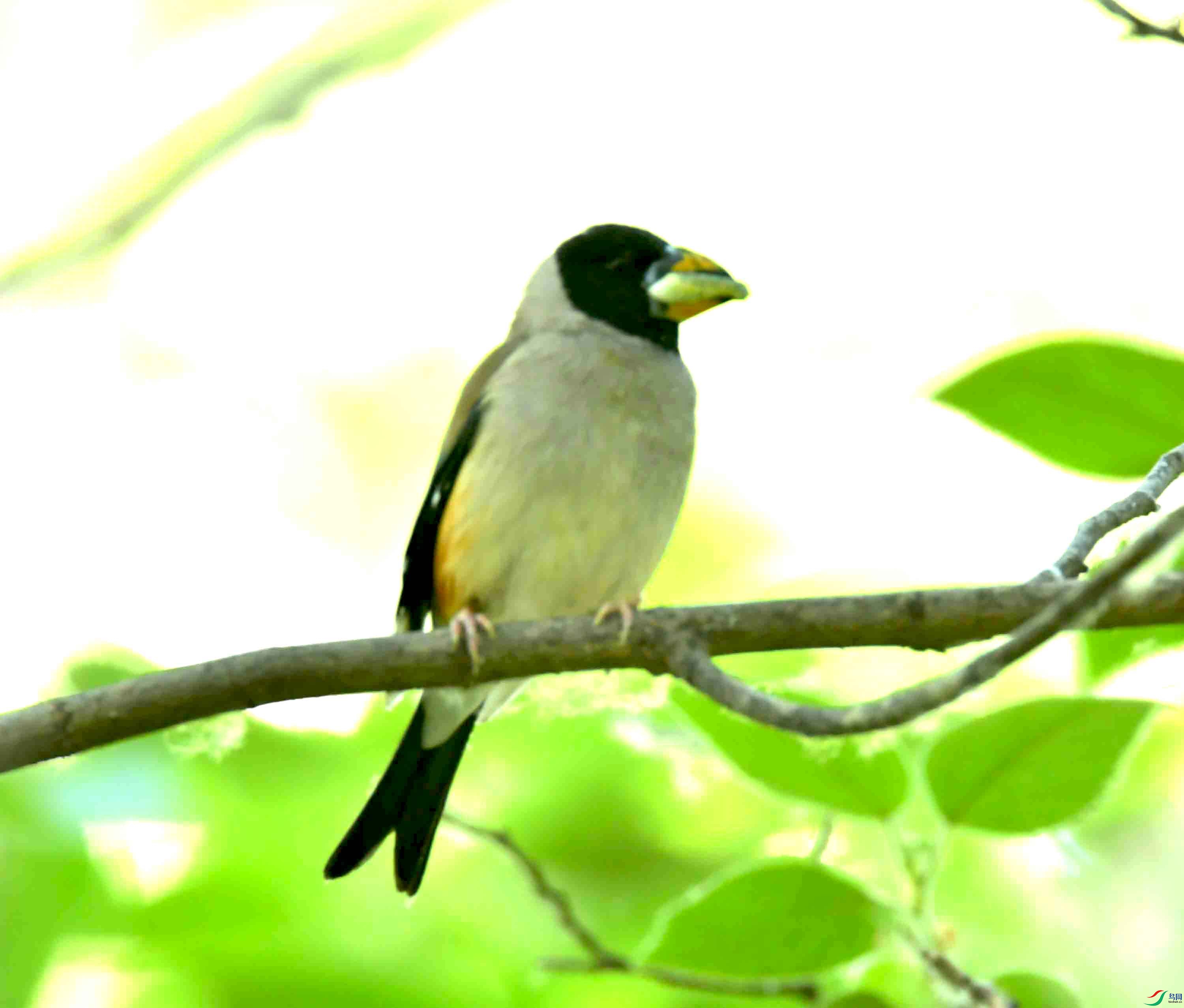 DSC_6789.JPG