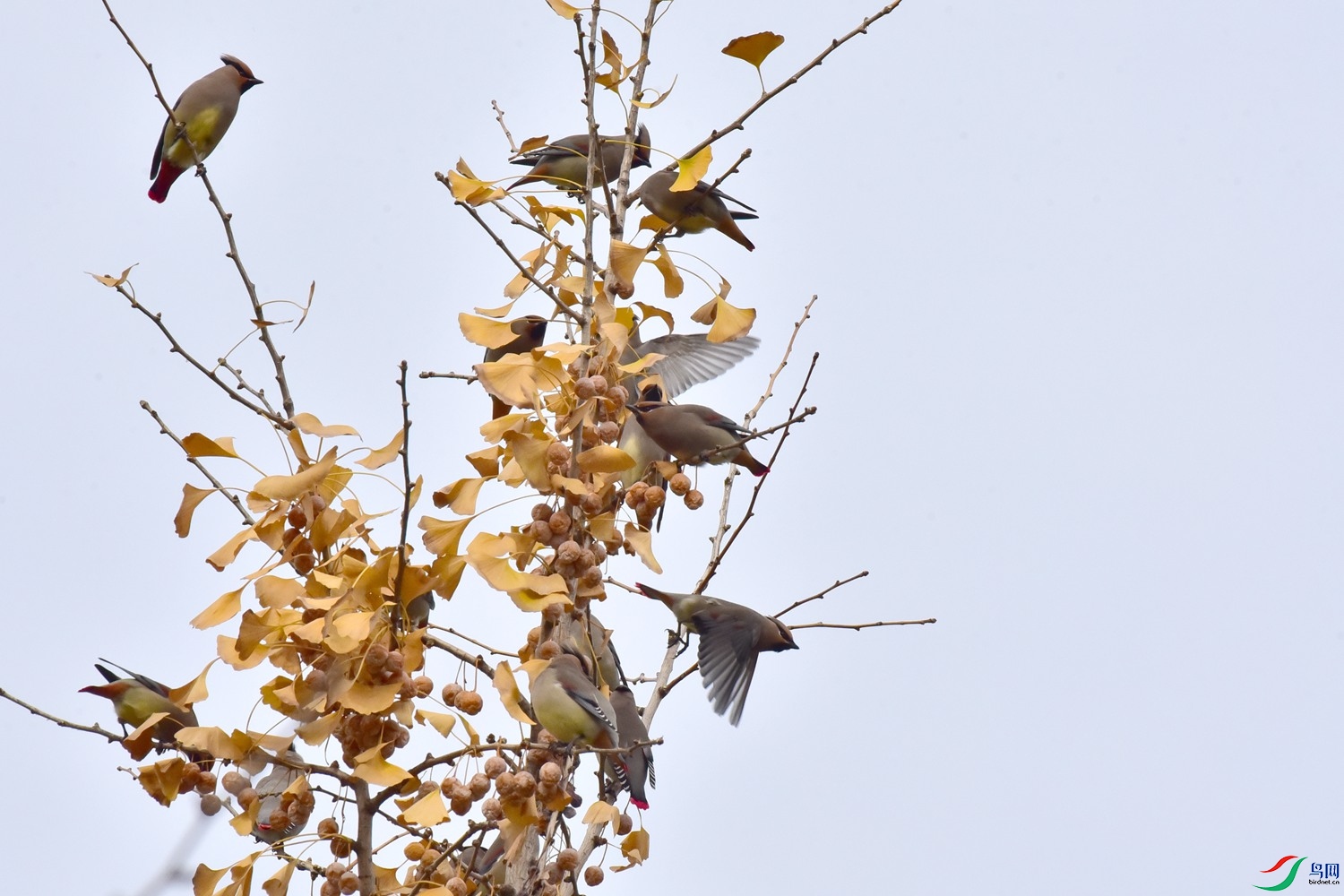 DSC_4667.JPG