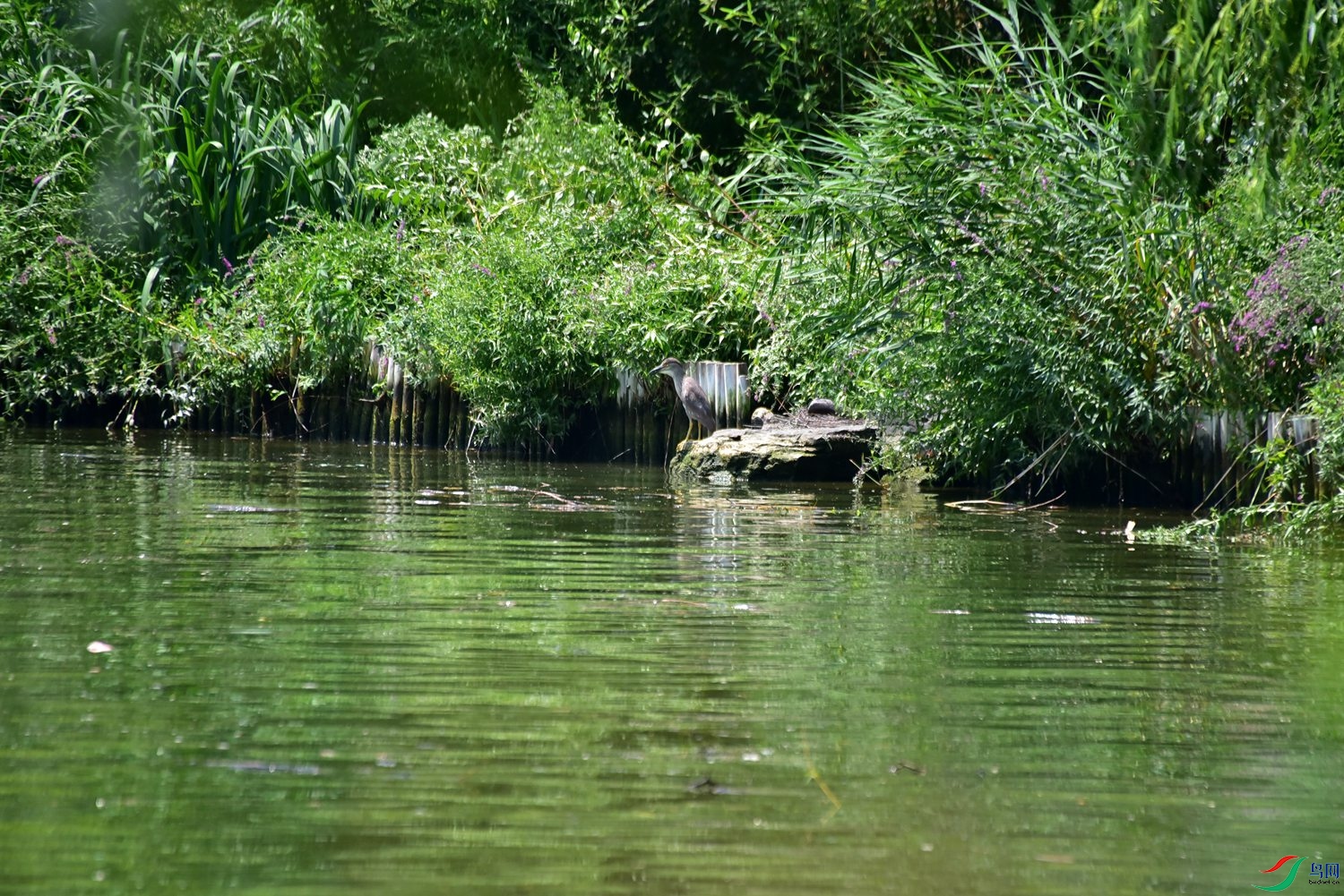 DSC_2868.JPG