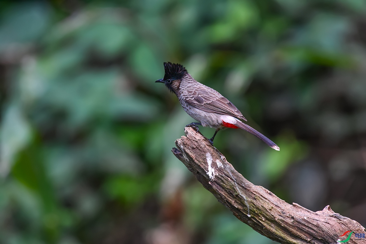 DSC_5639aa.jpg