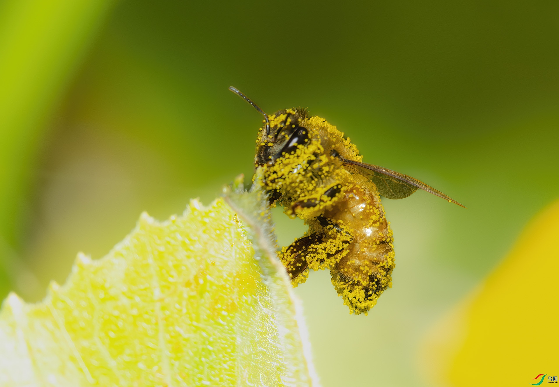 DSC_7786-NEF_DxO_DeepPRIME - ���͵��۷�.jpg