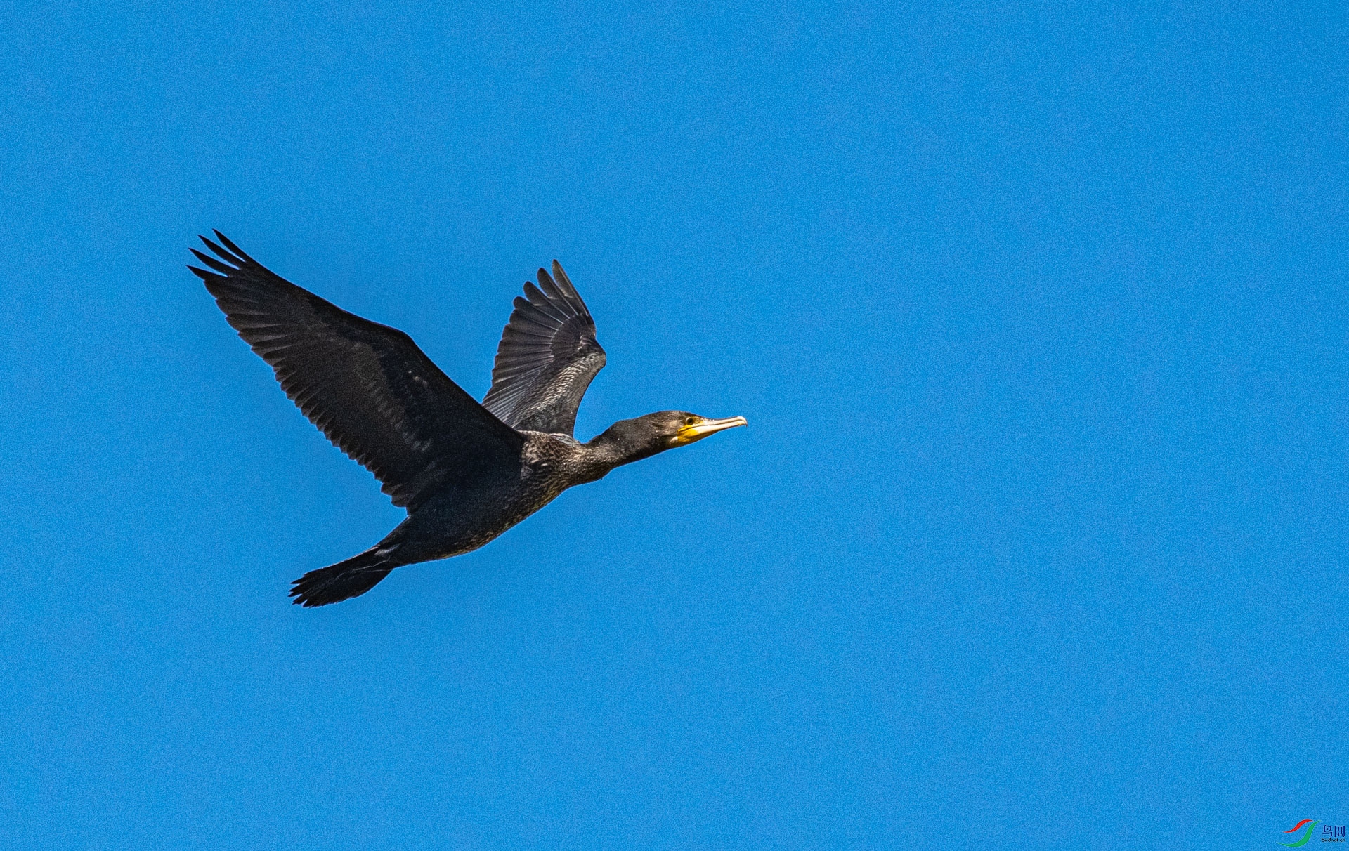 DSC_3182.jpg