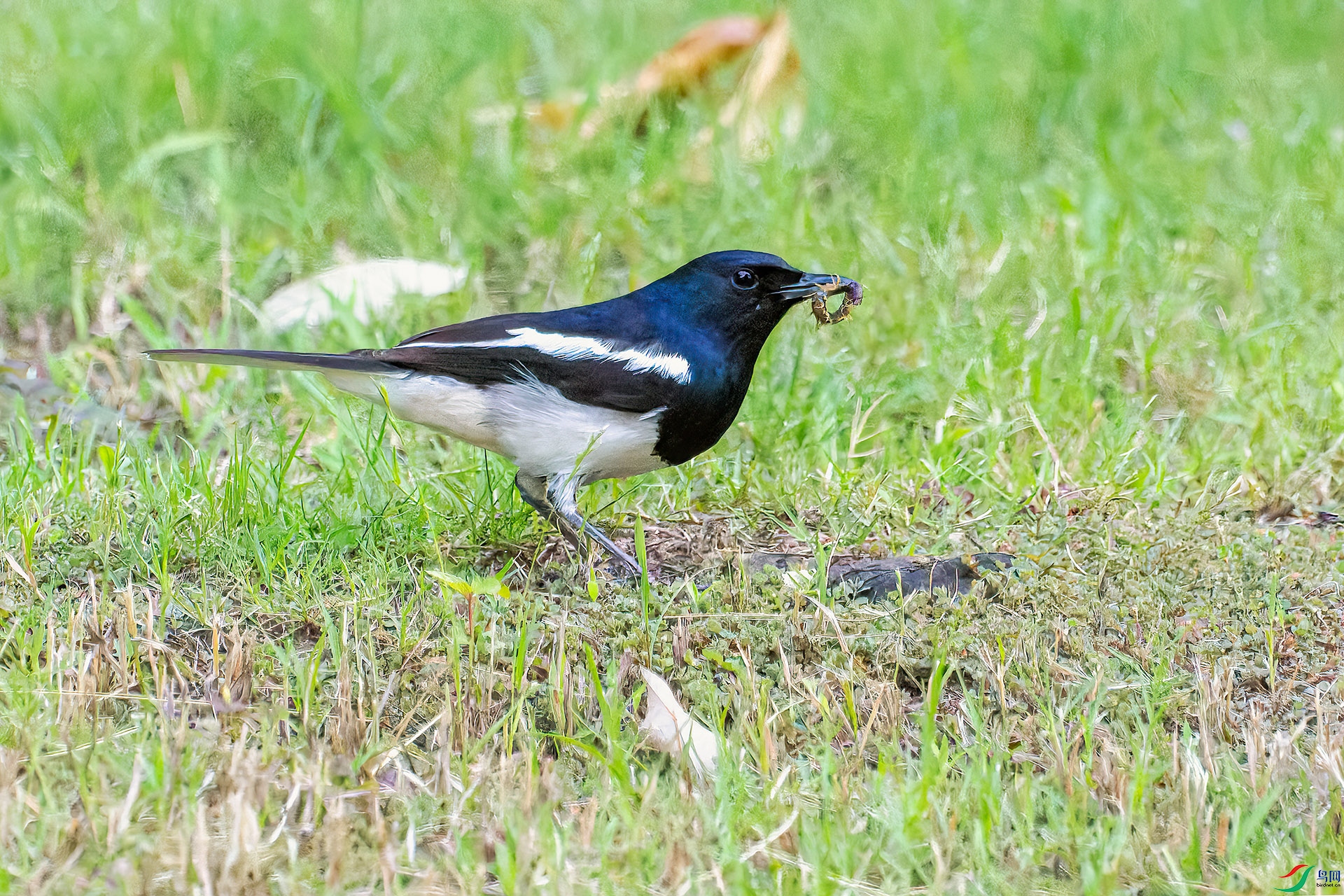 IMG_2318.jpg