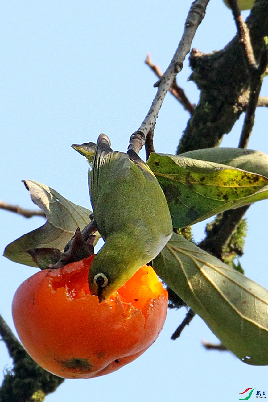 IMG_4817.JPG