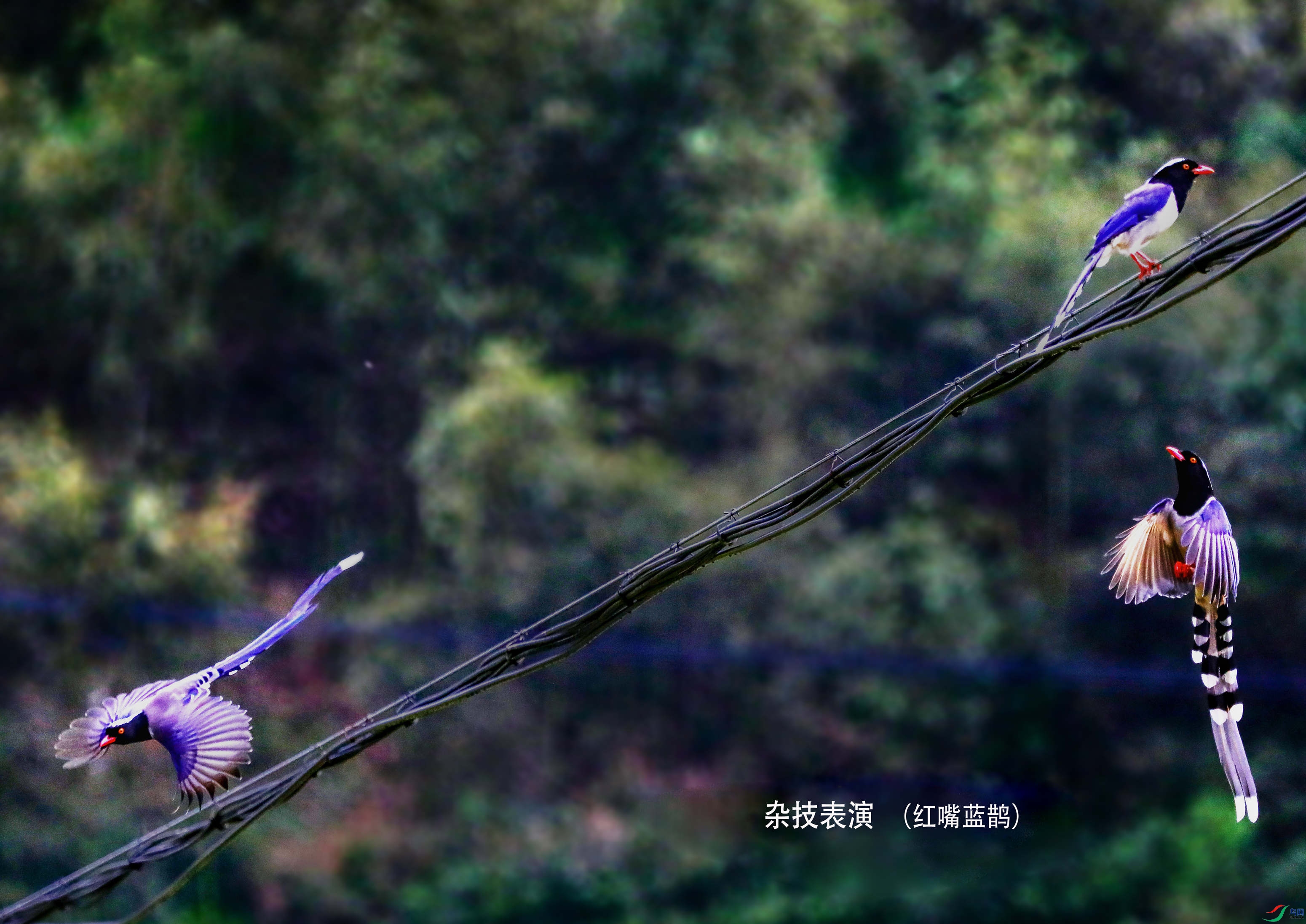 0034�Ӽ�����1 ��_1_����_����.jpg