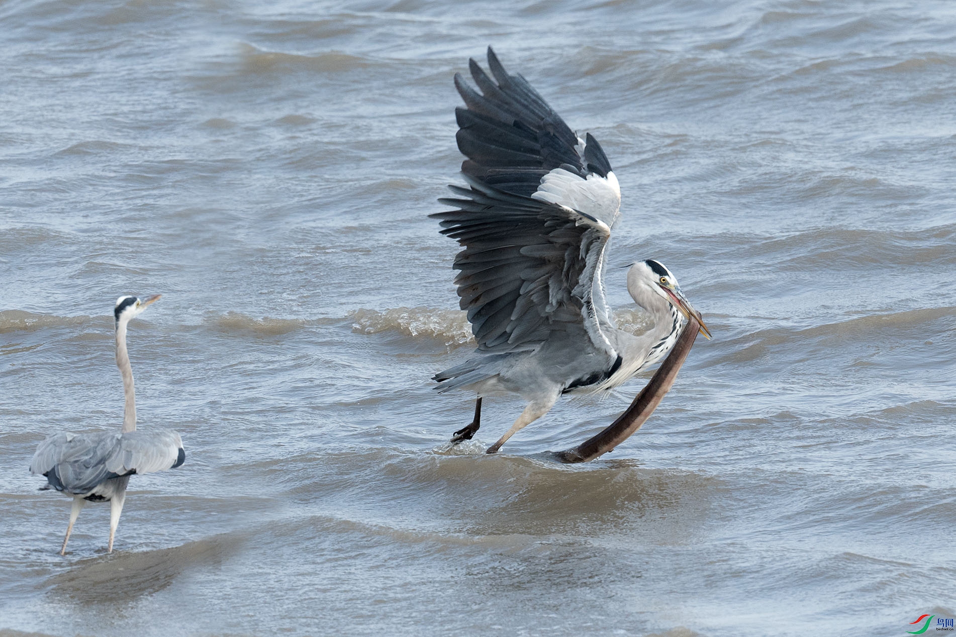 DSC_7262 -1.jpg