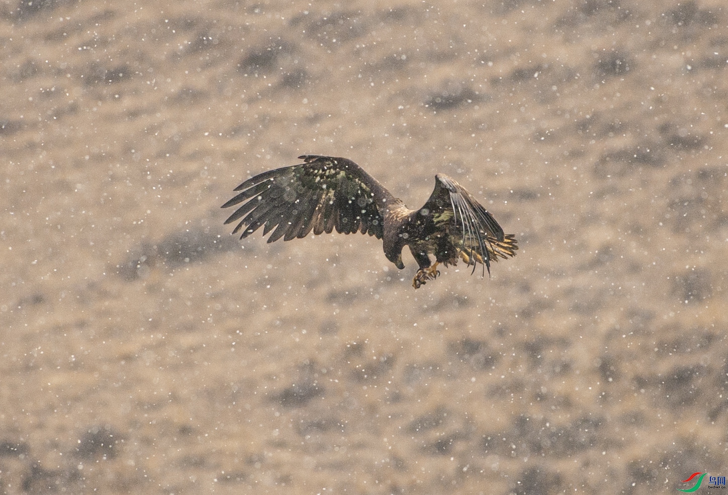 DSC_0501.jpg