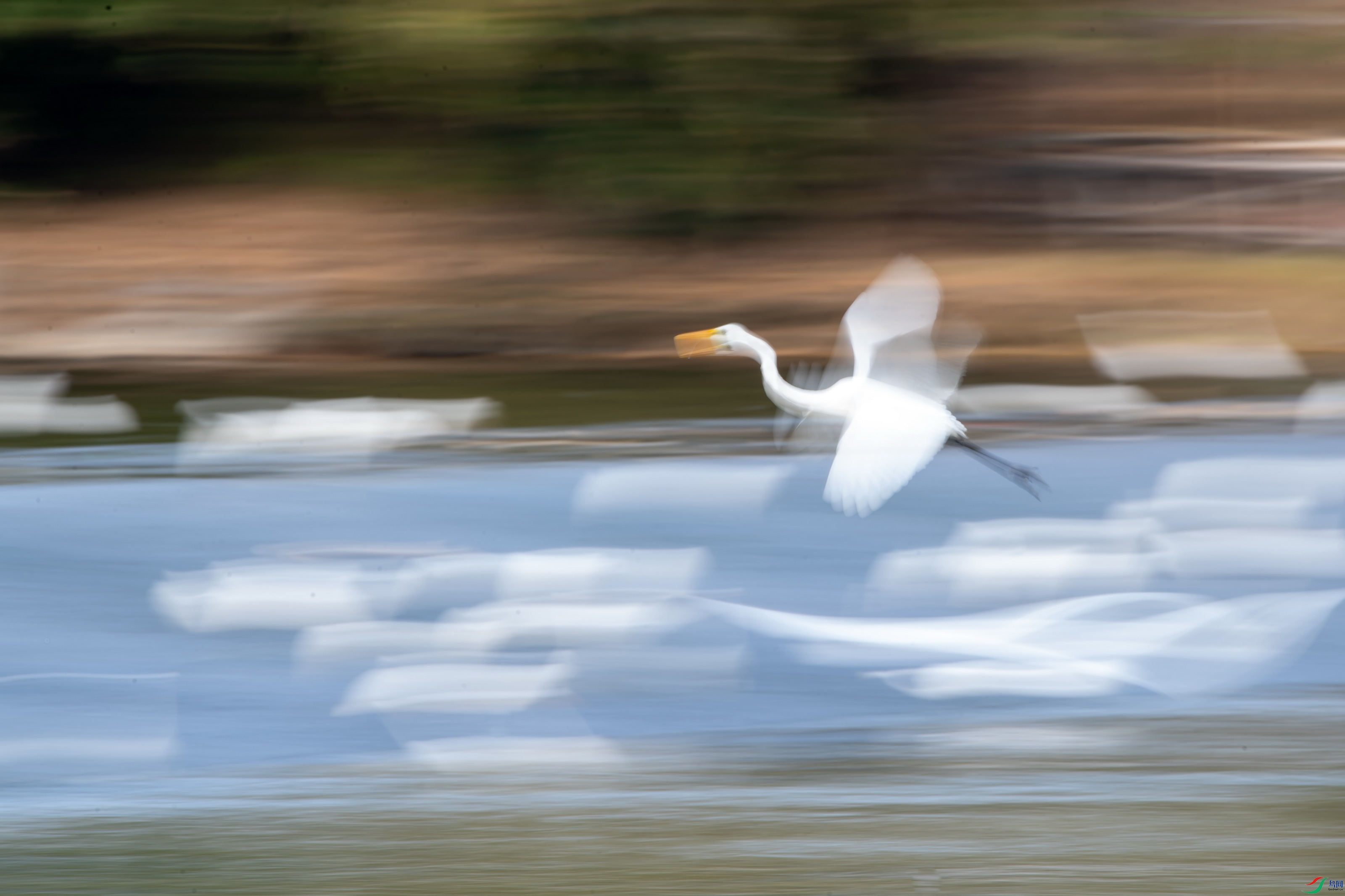 DSC_0823.jpg