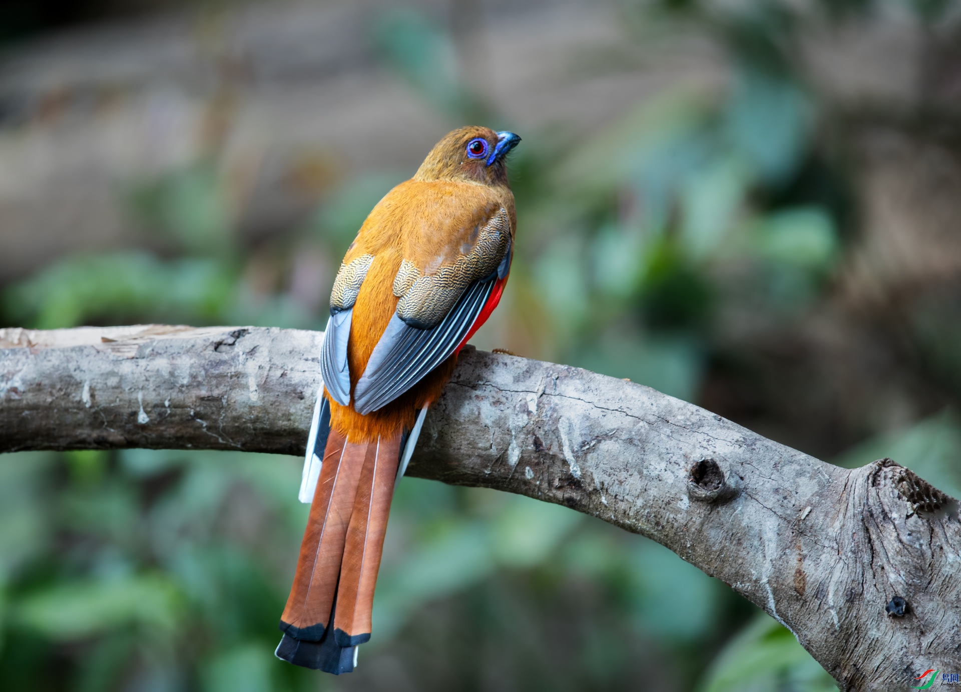 ��ͷҧ��_9120125.jpg