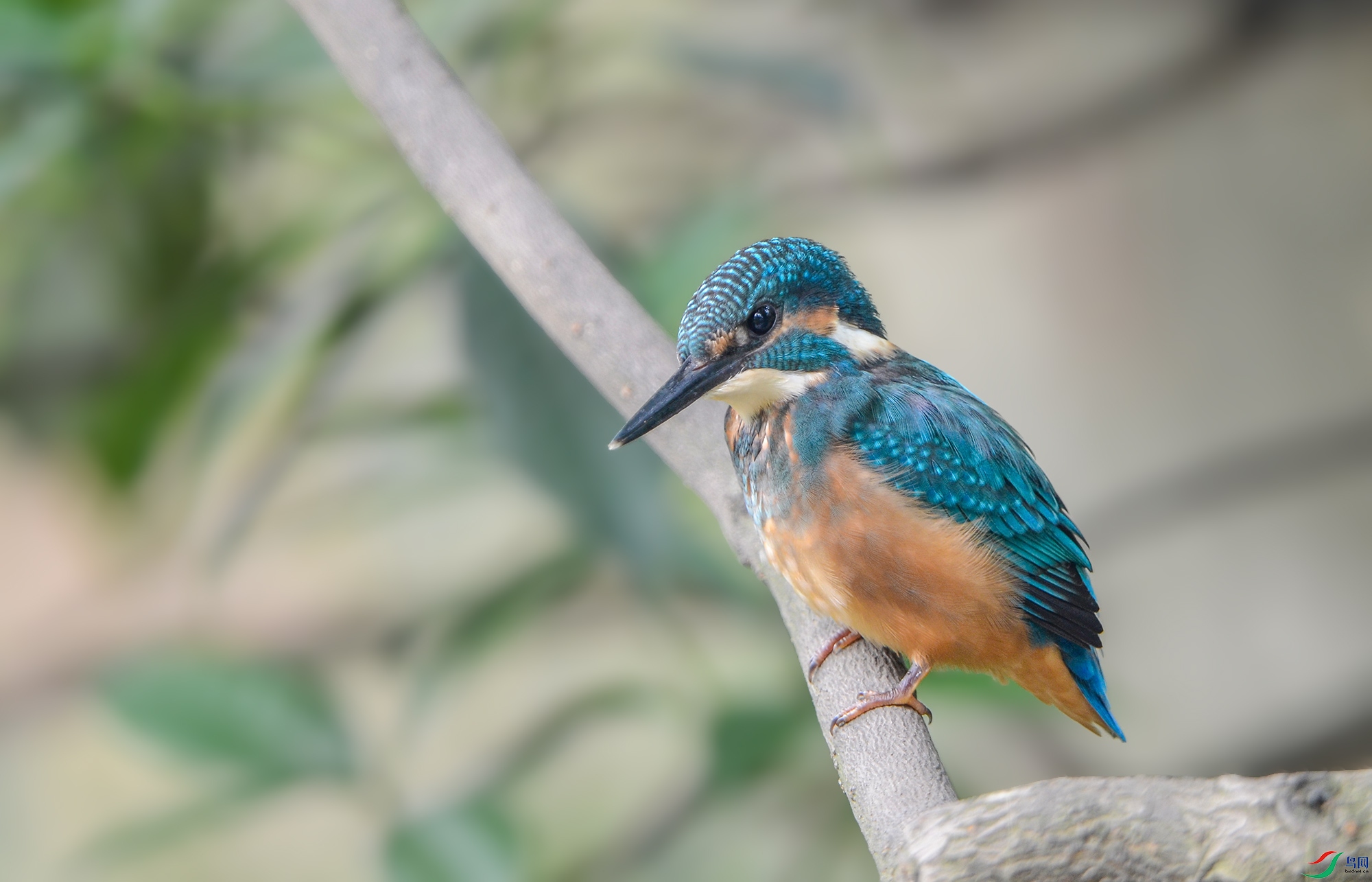 DSC_5538.jpg