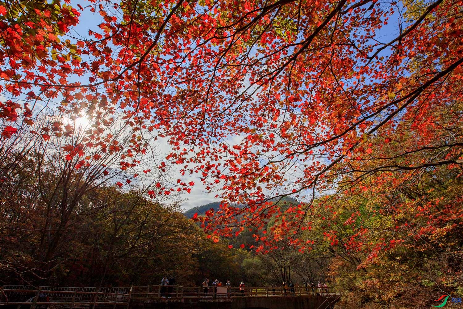 LUIS5278 ����.jpg