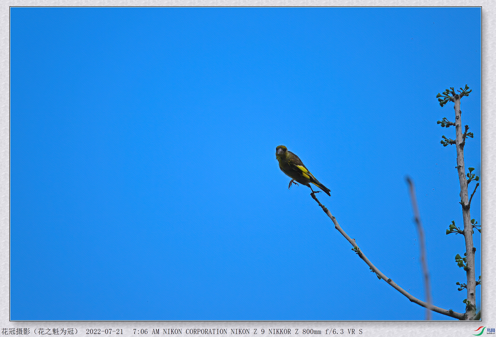 DSC_0607B-1-DeNoiseAI-low-light_����.jpg