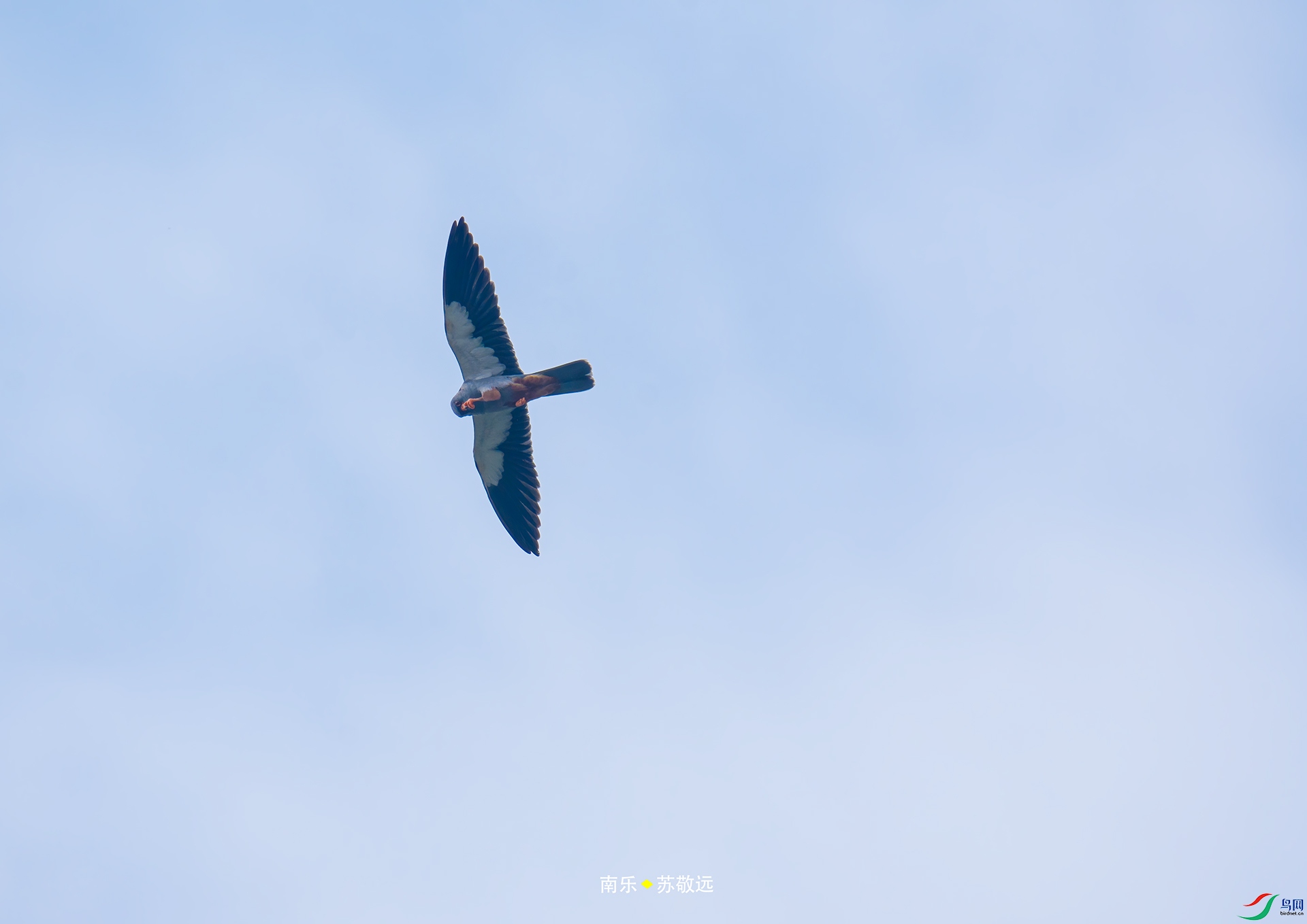 _DSC0089С.jpg