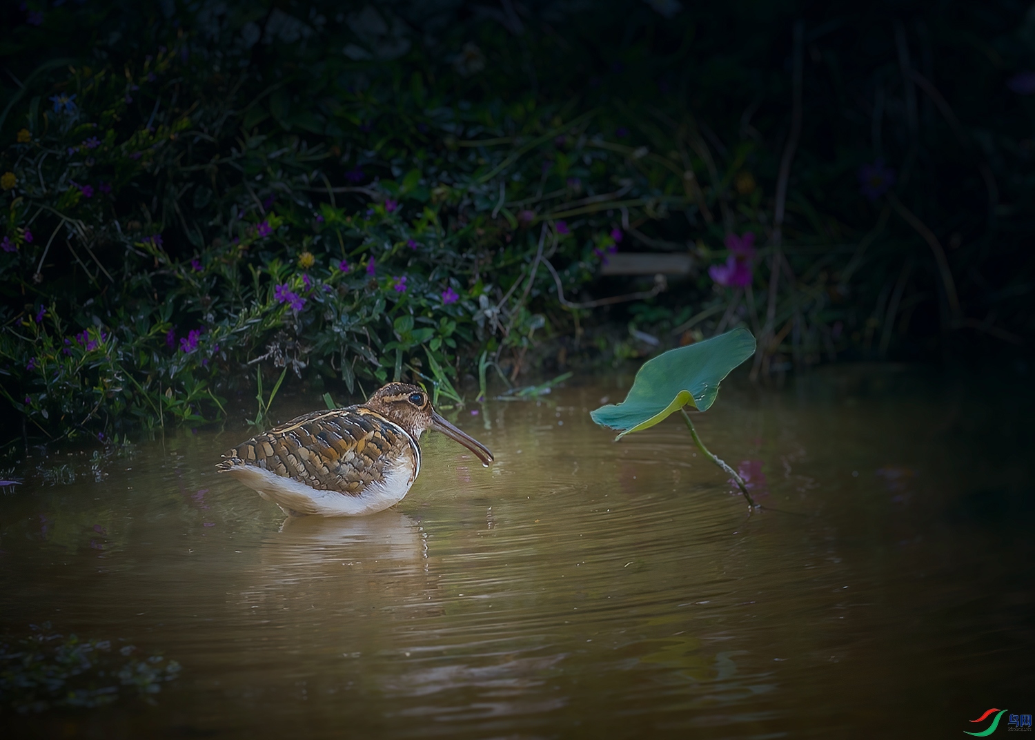 DSC_8348-2.jpg
