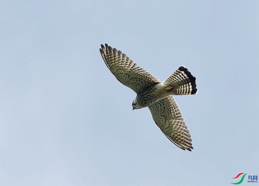 DSC_4346.JPG