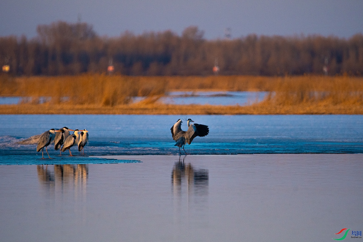 20200319 (151).jpg