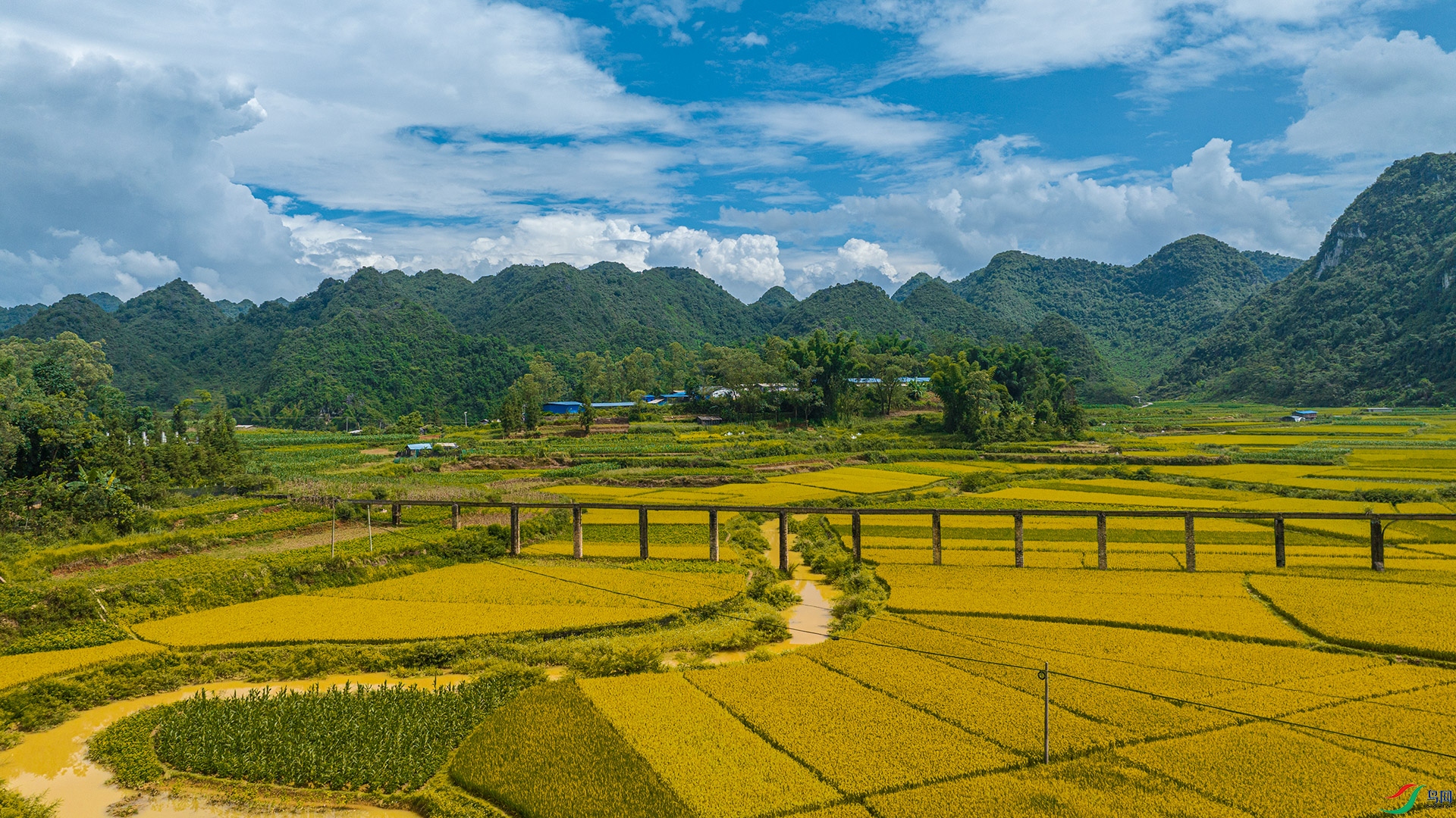 DJI_0543.jpg