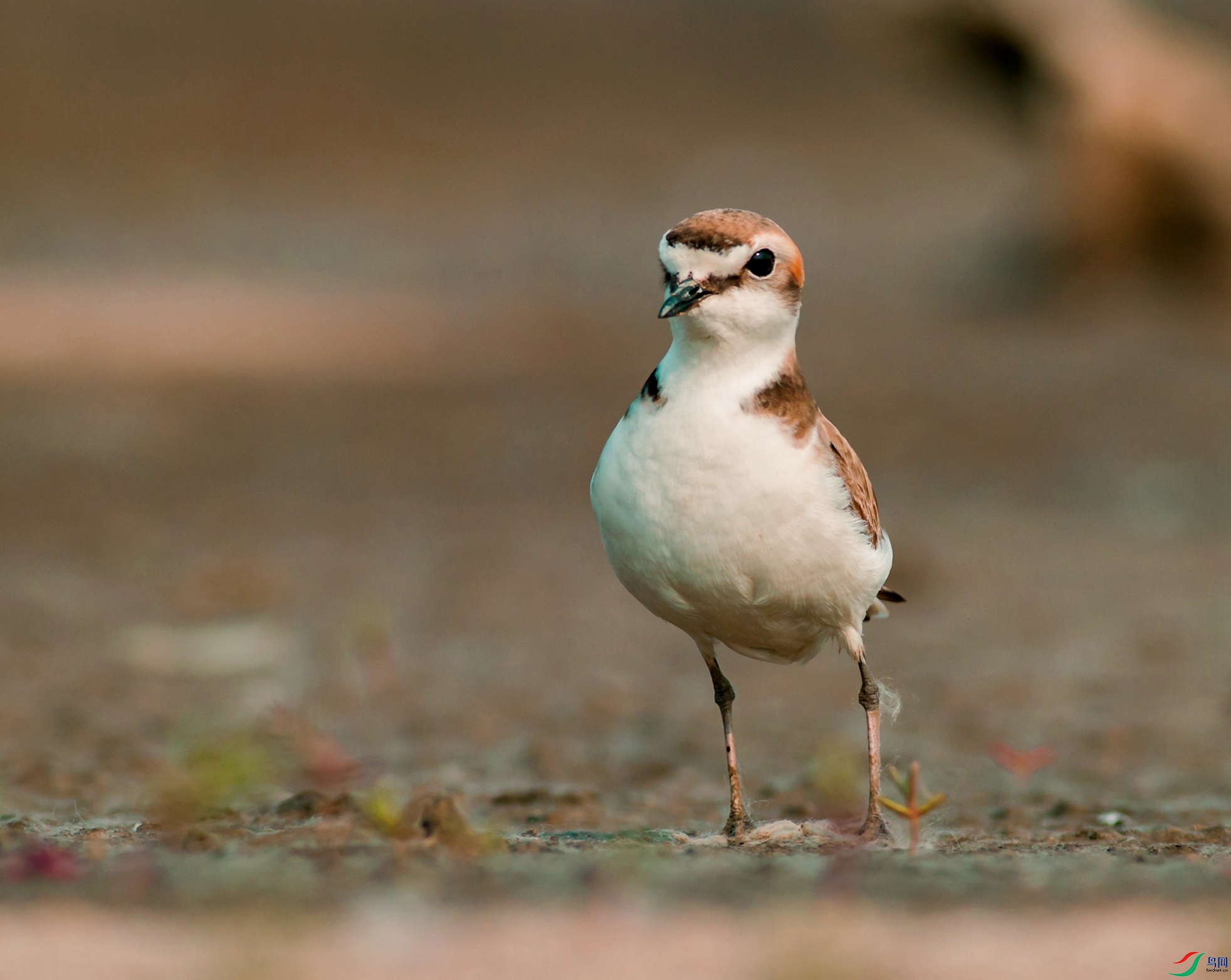 �����a���豦���� (2)_����.jpg