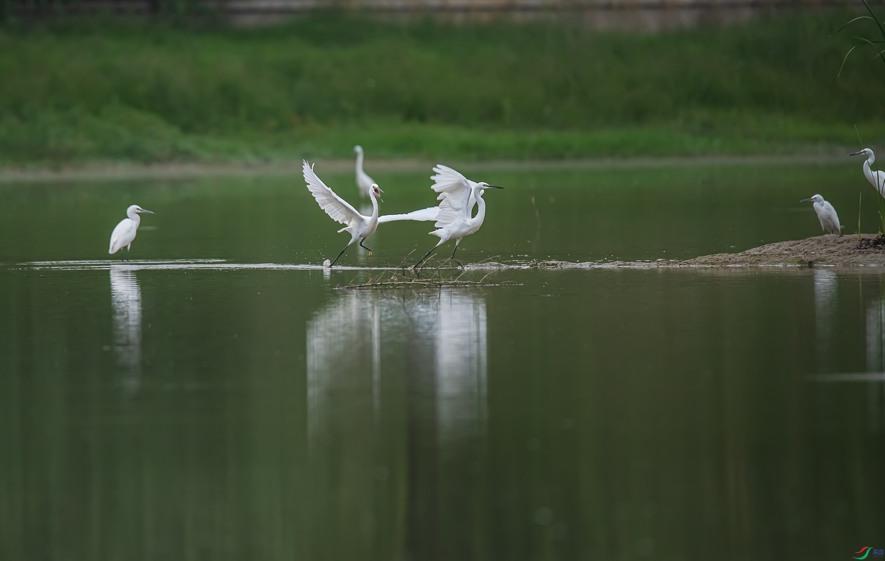 DSC_1578.jpg