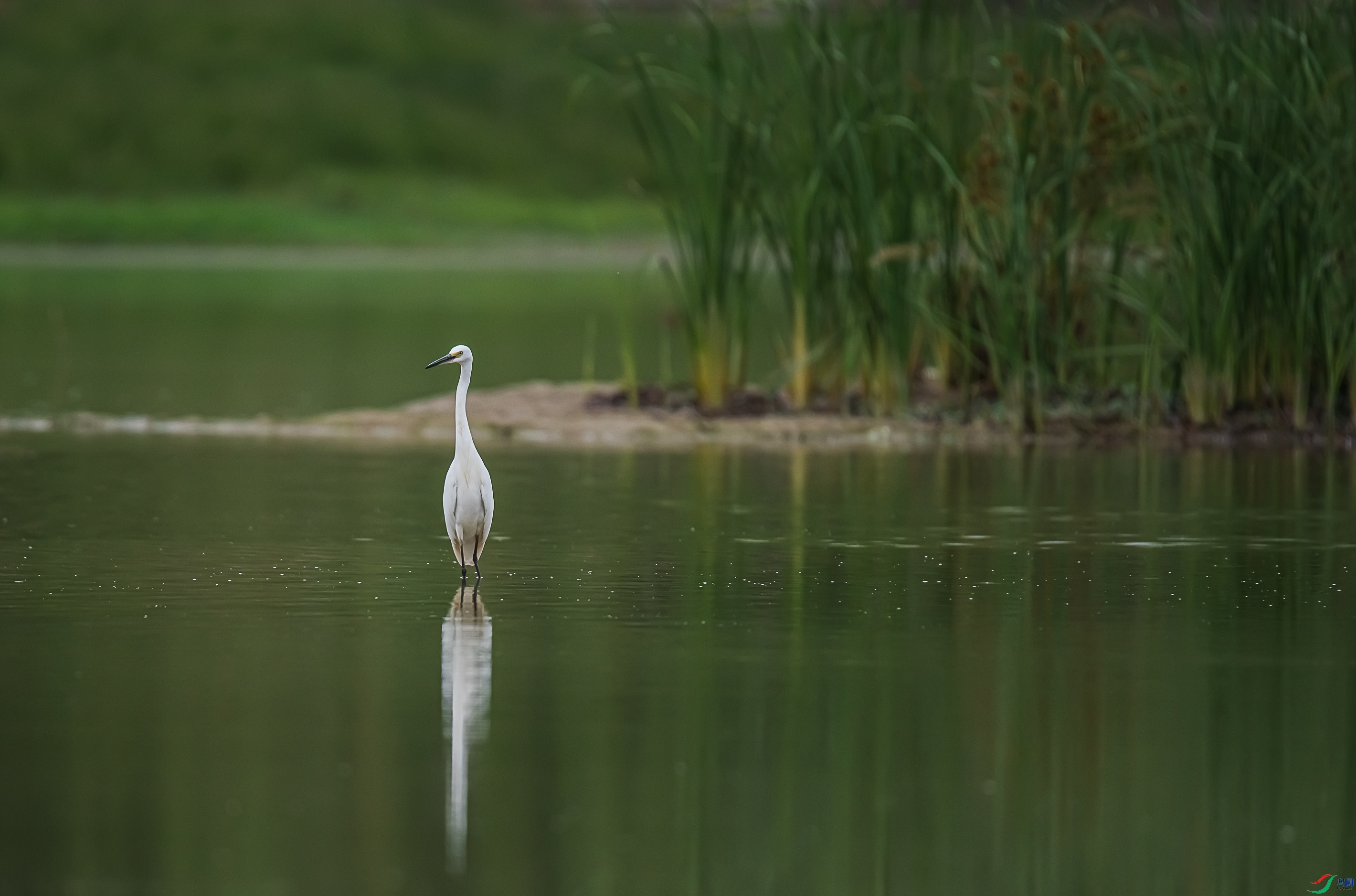 DSC_1508.jpg
