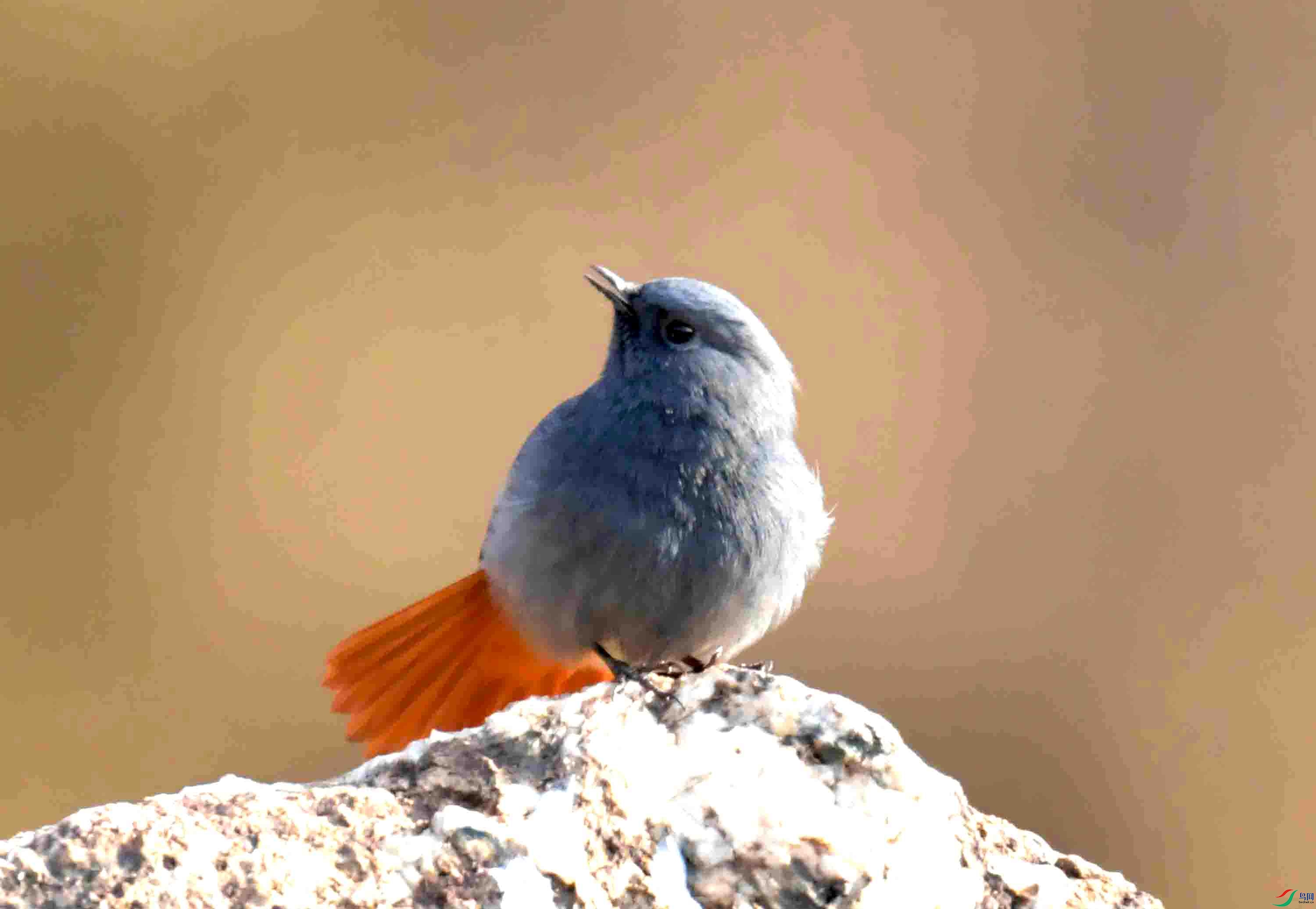 DSC_8834.JPG