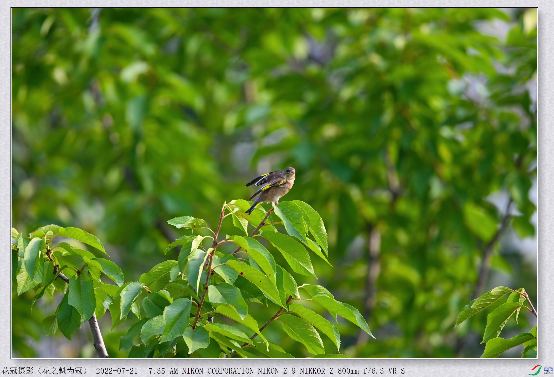 DSC_0975B-1-DeNoiseAI-low-light_����.jpg