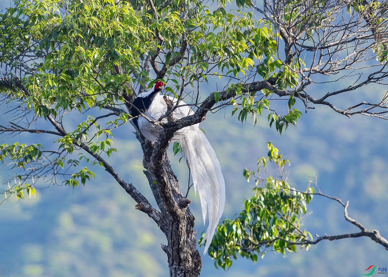 DSC_5695-2.jpg