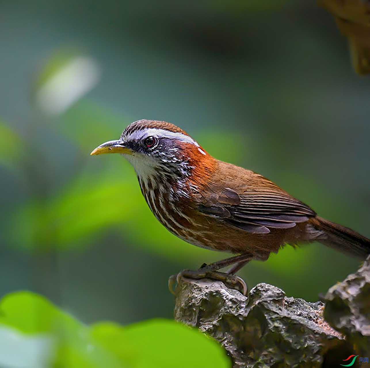 �ĵ�����20191104_5-1.jpg