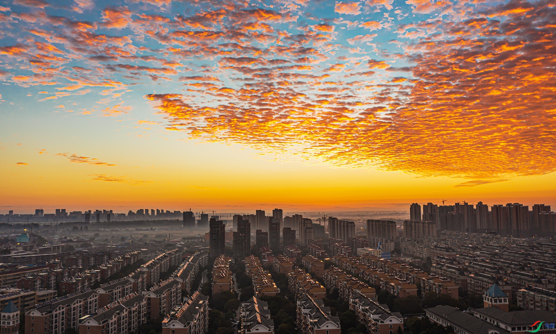 DJI_0164.jpg
