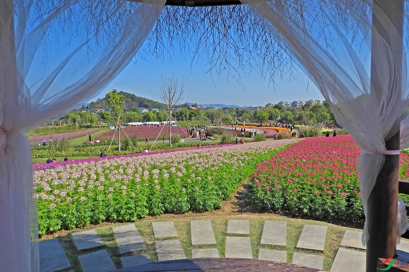 DSCN7190.jpg