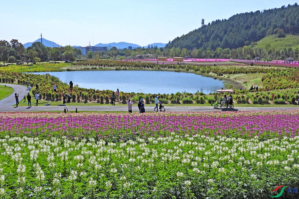 DSCN7189.jpg