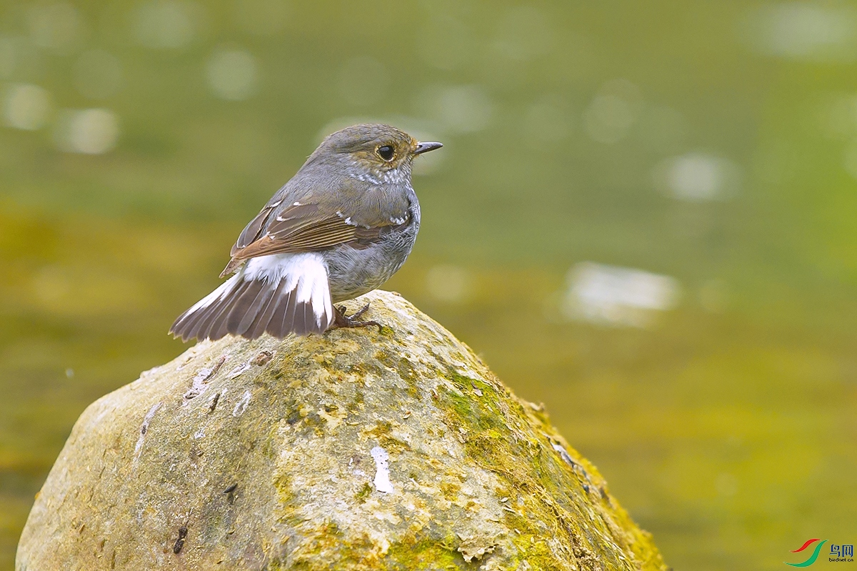 DSC_5997.JPG
