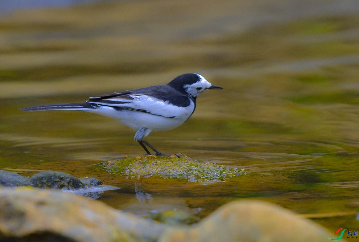 DSC_6172.JPG