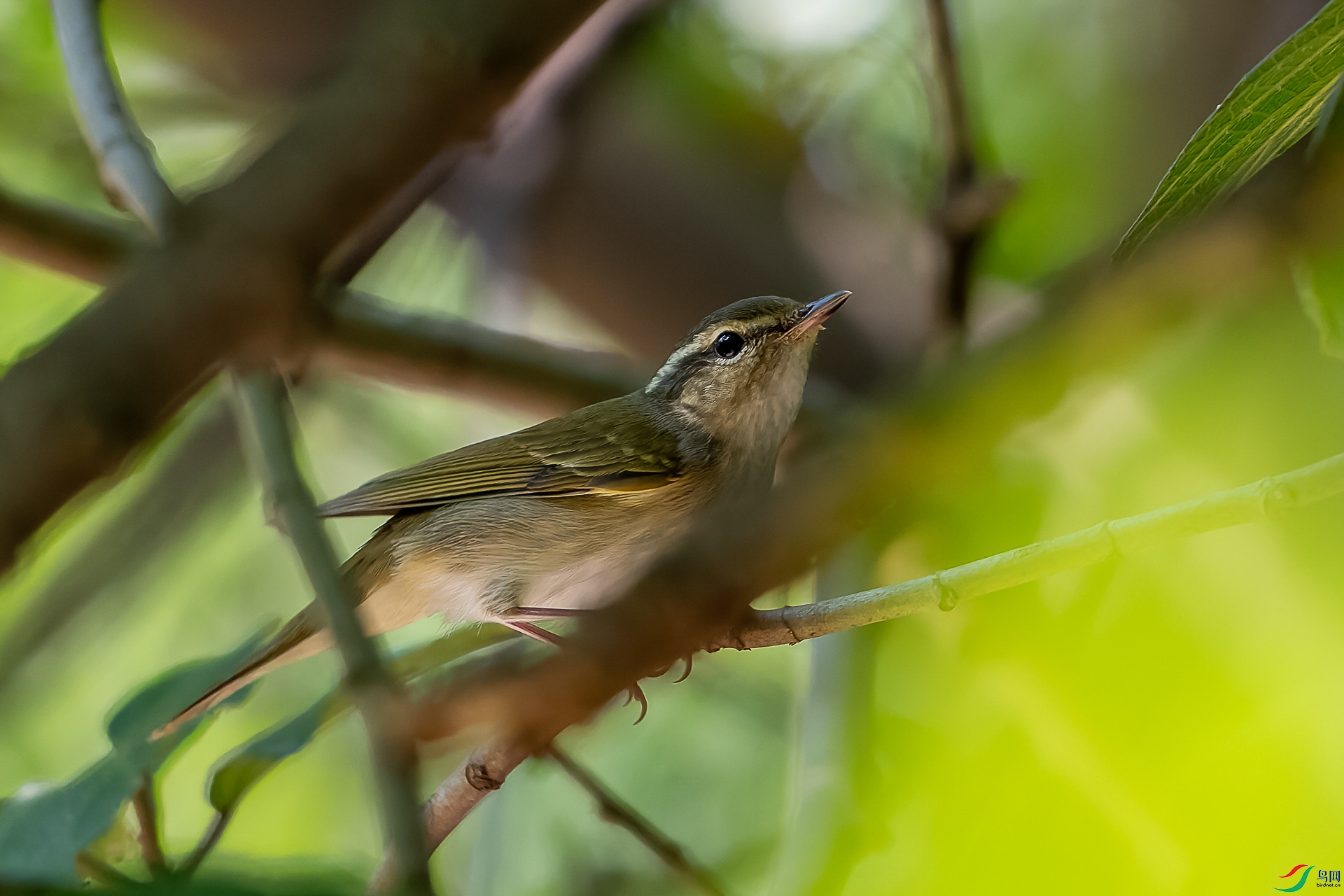 DSC07349-ARW_DxO_DeepPRIME-1.jpg