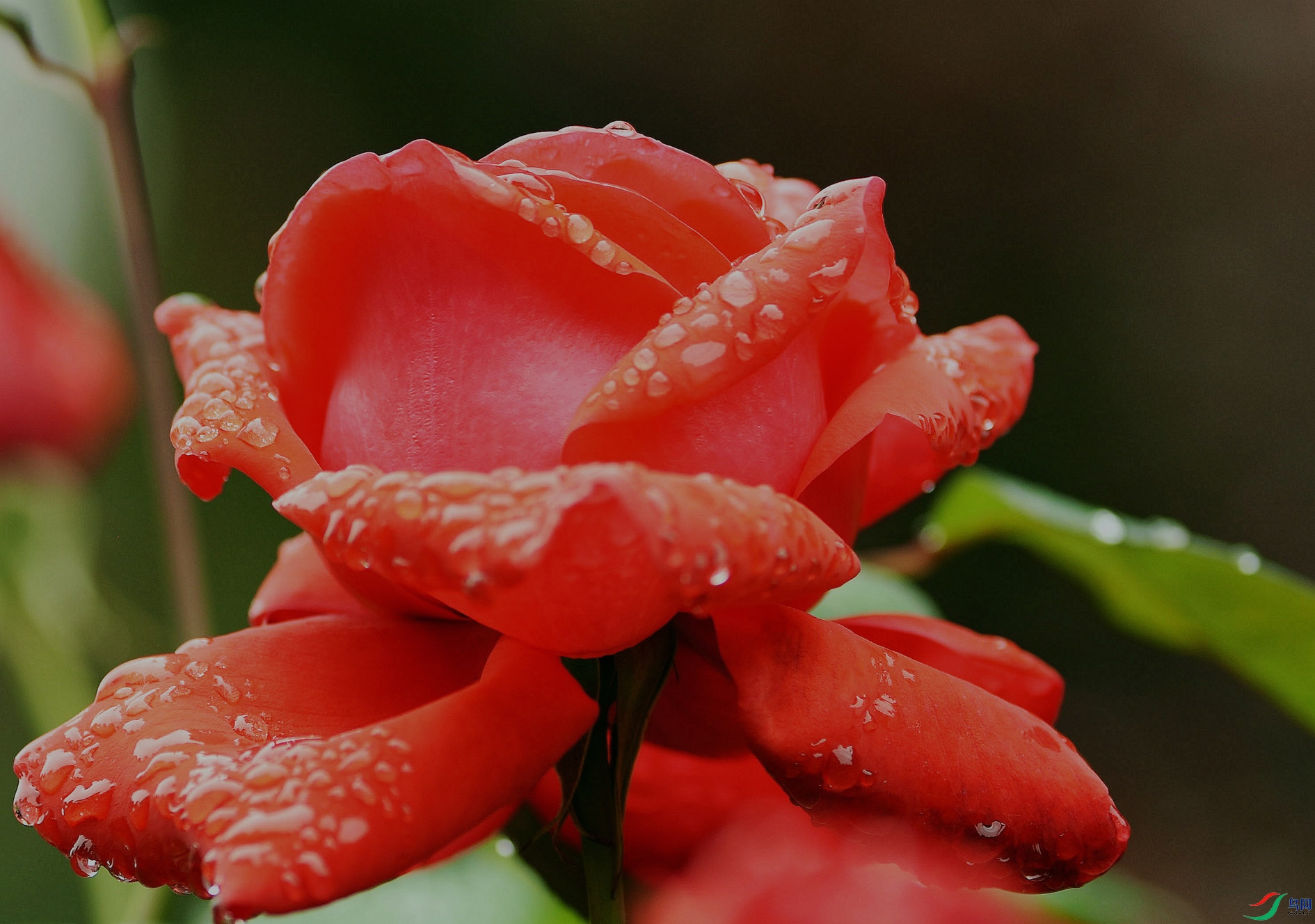 DSC_1456_����.jpg