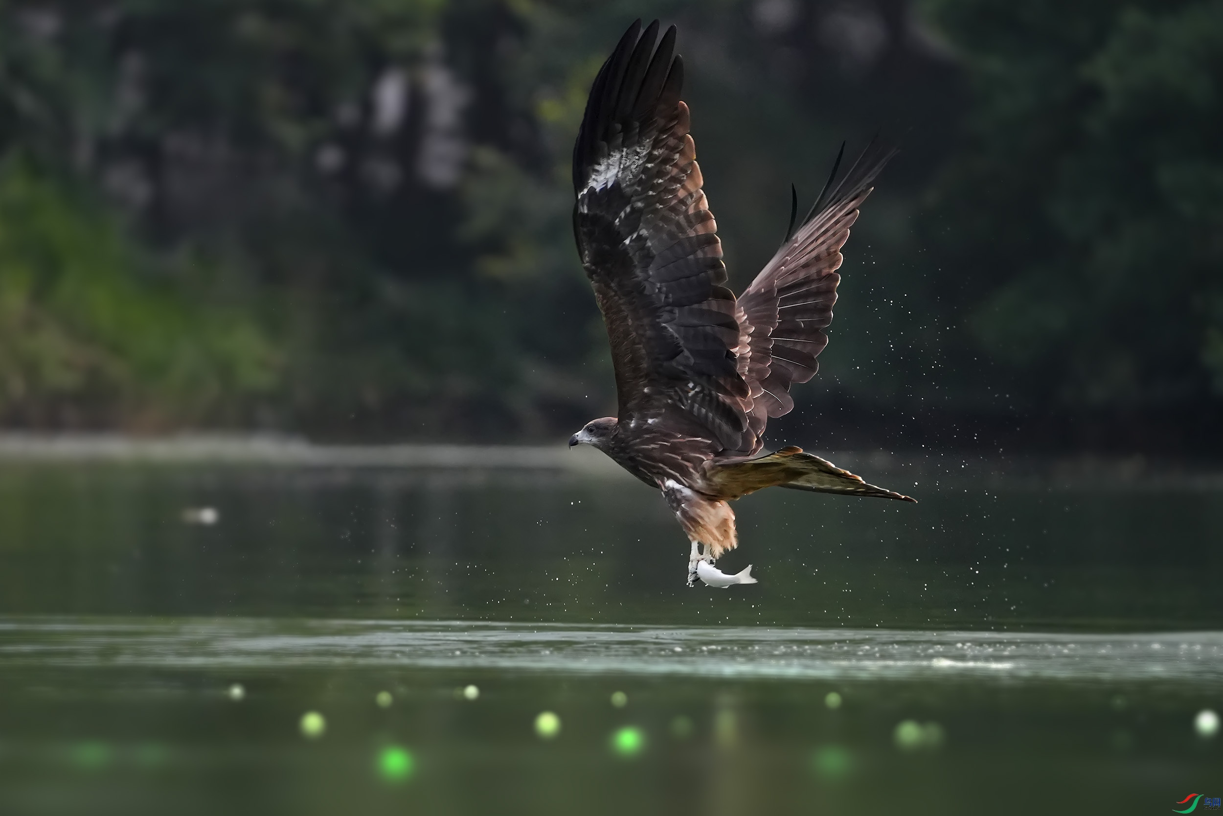 DSC00027 - ����.jpg